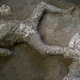 The casts of two men—possibly an enslaved individual (right) and a wealthy individual (left).